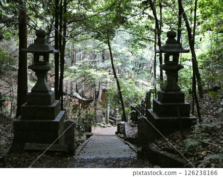 京都大岩神社 126238166