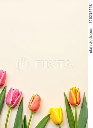 Colorful bouquet of tulips arranged on a light background showcasing a variety of vibrant colors during springtime 126238768