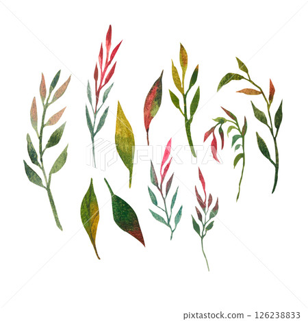 Set of Watercolor Hand Drawn Green Branches and Leaves Set of Watercolor Hand Drawn Green Branches and Leaves 126238833