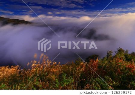 岩手縣奧州市,黎明風景 岩手縣奧州市,黎明風景 126239172