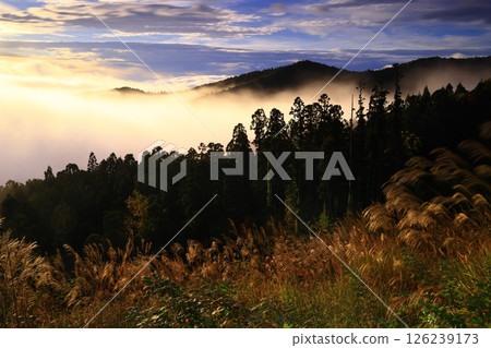 岩手縣奧州市，黎明風景 126239173