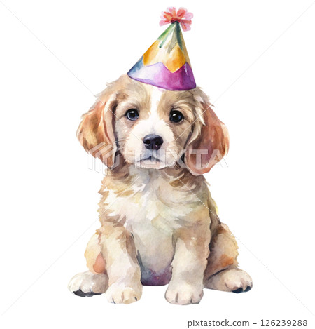 Dog sit  wearing a birthday hat  Minimal Watercolor White Background 126239288