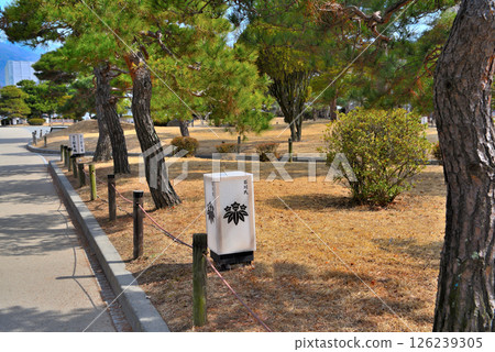 位於日本中部的松本城和松本城公園景觀,長野縣松本市(2) 位於日本中部的松本城和松本城公園景觀,長野縣松本市(2) 126239305