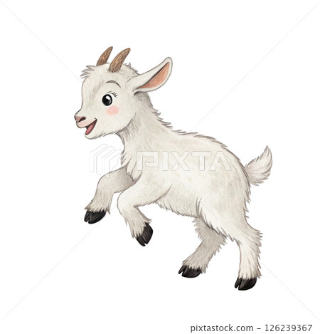 Cute animals, children's book style  White Background 126239367