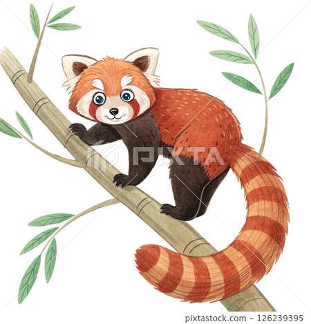 Cute animals, children's book style  White Background 126239395
