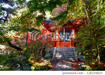 Benzaiten at Bishamondo Gate surrounded by autumn leaves Benzaiten at Bishamondo Gate surrounded by autumn leaves 126239823