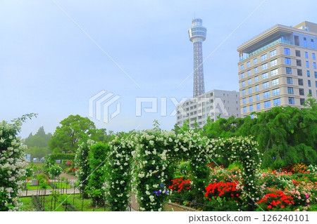Yokohama Yamashita Park: Rose Garden of the Future Yokohama Yamashita Park: Rose Garden of the Future 126240101