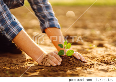 Close up - Hands of a young man taking care of a small plant in garden. Business or ecology concept. 126240189