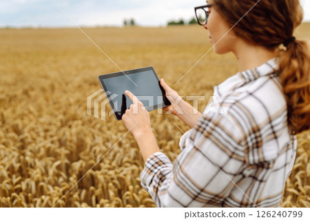 Woman agronomist in a field with a tablet checks the growth of the crop. New harvest concept. Woman agronomist in a field with a tablet checks the growth of the crop. New harvest concept. 126240799