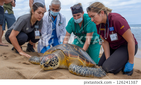 Team of experts restores a sea turtle on a sandy beach Team of experts restores a sea turtle on a sandy beach 126241387