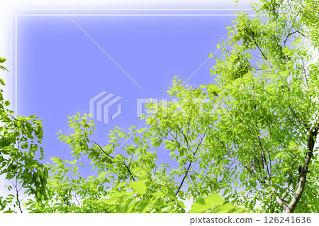 清爽的綠色和藍色天空框架 126241636
