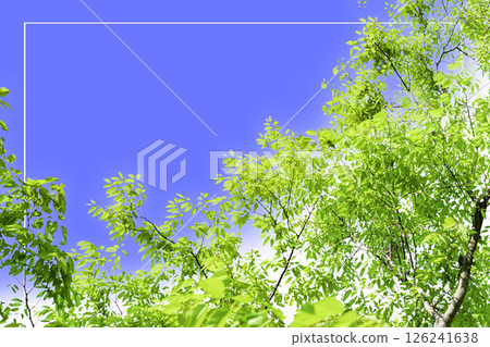 Refreshing green and blue sky frame Refreshing green and blue sky frame 126241638