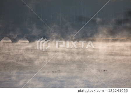 秋季Taushubetsu河大橋 126241963