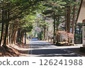 road surrounded by trees 126241988
