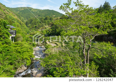 Auberge Tosayama（高知縣高知市的里山旅館） 126242047