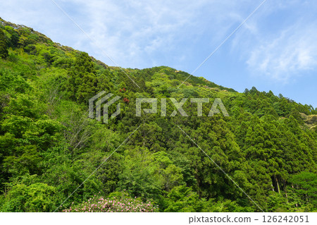 Auberge Tosayama（高知縣高知市的里山旅館） 126242051