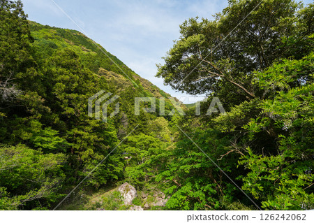 Auberge Tosayama(高知縣高知市的里山旅館) Auberge Tosayama(高知縣高知市的里山旅館) 126242062