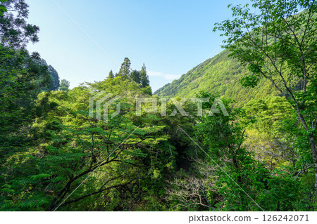 Auberge Tosayama（高知縣高知市的里山旅館） 126242071