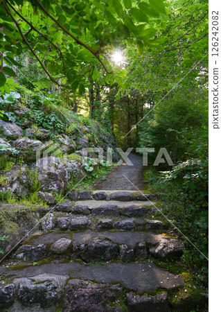 Auberge Tosayama (A Satoyama Inn in Kochi City, Kochi Prefecture) 126242082