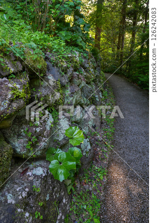 Auberge Tosayama（高知縣高知市的里山旅館） 126242083