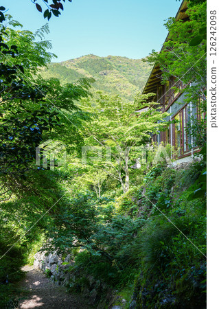 Auberge Tosayama (A Satoyama Inn in Kochi City, Kochi Prefecture) 126242098