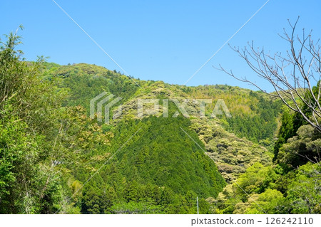 Auberge Tosayama（高知縣高知市的里山旅館） 126242110
