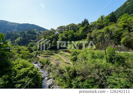 Auberge Tosayama (A Satoyama Inn in Kochi City, Kochi Prefecture) 126242111