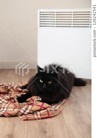 Cute black cat near electric heater at home. Vertical photo 126242541