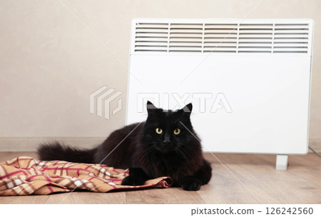 Cute black cat near electric heater at home. Space for text Cute black cat near electric heater at home. Space for text 126242560