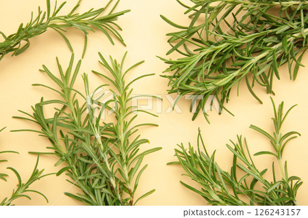 Fresh rosemary bunch on beige background. macro photo Fresh rosemary bunch on beige background. macro photo 126243157