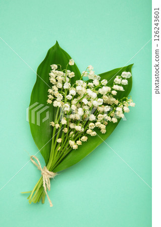 May flowers. Bouqet of lily of the valley flowers on mint background. Vertical photo 126243601