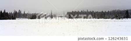 Yellowstone Winter Snow 126243631