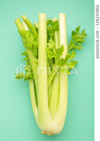Fresh celery on mint background. Vertical photo 126243802
