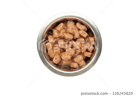 Wet pet food in feeding bowl isolated on white 126243820