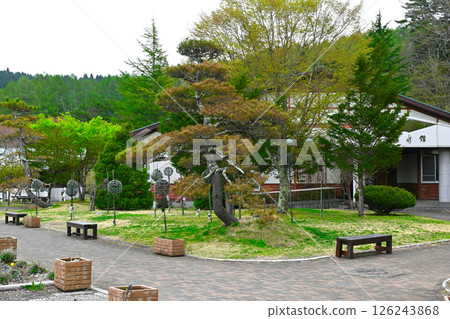 山中湖花城公園景觀 山中湖花城公園景觀 126243868