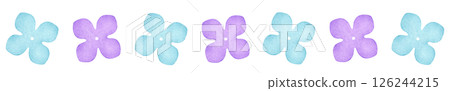 Blue and purple hydrangea petal lines 126244215