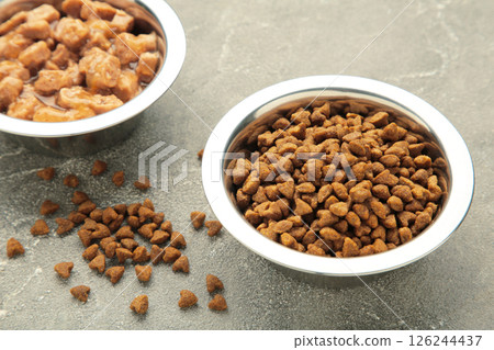 Wet and dry food for dogs and cats in silver bowl on grey concrete background. 126244437