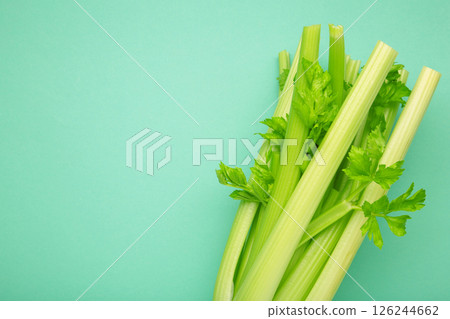 Fresh celery on mint background. Space for text Fresh celery on mint background. Space for text 126244662