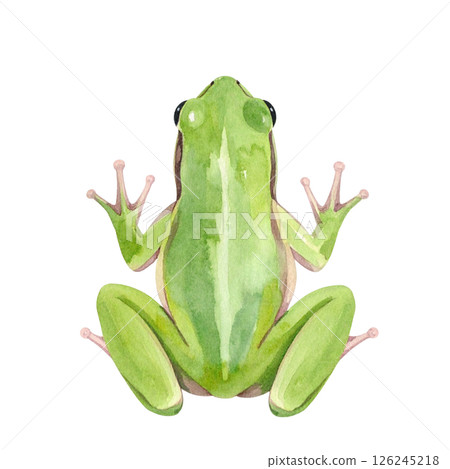 可愛的青蛙背，水彩插圖 126245218