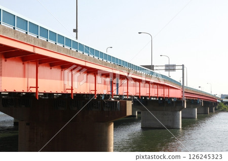 國道 357 號市川大橋 126245323