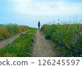 Dirt road in steppe overgrown with weeds 126245597