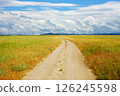 Field road in steppe overgrown with weeds 126245598