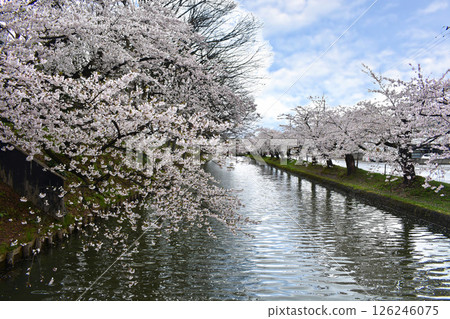 弘前公園 126246075