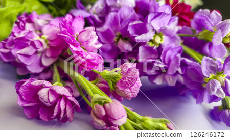 Bouquet of delicate lilac pink and red matthiola flowers on a light background. 126246172
