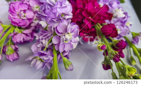 Bouquet of delicate lilac pink and red matthiola flowers on a light background. 126246173