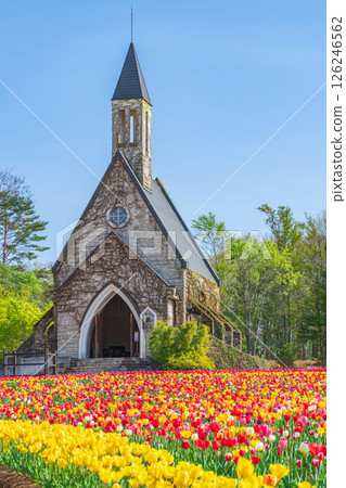晝野高原、田園村落、鬱金香盛開（岐阜縣上市） 126246562