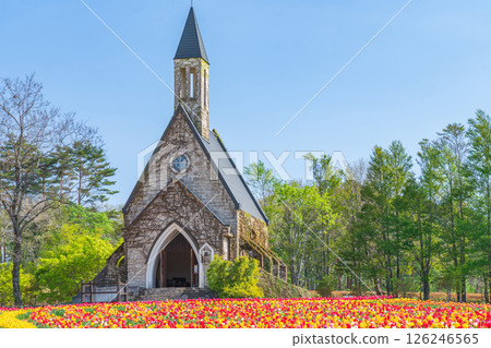 晝野高原、田園村落、鬱金香盛開(岐阜縣上市) 晝野高原、田園村落、鬱金香盛開(岐阜縣上市) 126246565