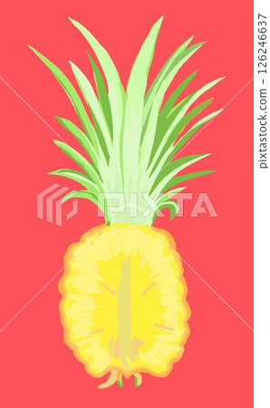 Illustration of a pineapple cut vertically 126246637