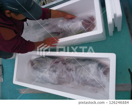 Red tuna packed in a styrofoam box 126246884