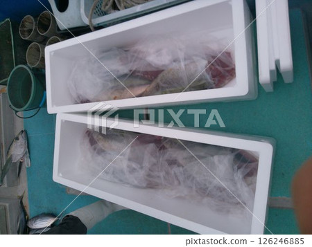 Red tuna packed in a styrofoam box Red tuna packed in a styrofoam box 126246885